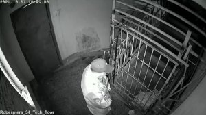 Полицейский справил нужду в подъезде