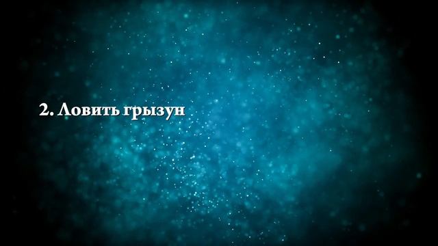 К чему снится поймать крысу - Онлайн Сонник Эксперт смотреть онлайн