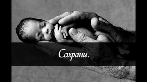 Сохрани Господь всех детей земли - Лиза Кравчук