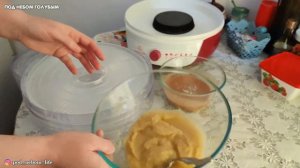 Пастила в домашних условиях I Пастила из яблок в сушилке Мастерица СШ-0205К