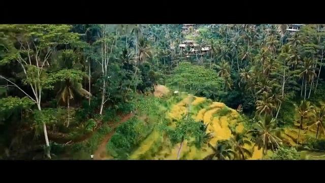 Йога-туры на Бали смотреть онлайн