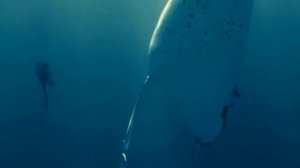 Фил Коллинз " Земля смятения "  (Сильная песня )