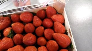 СЫРНО- КУРИНЫЙ СУП  // И НАШ ЛЁГКИЙ ОБЕД