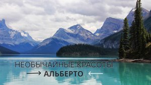 АЛЬБЕРТО