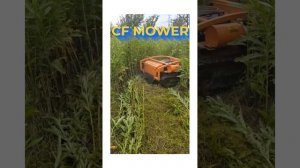what you should know about lawnmower