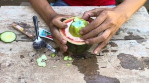 A new way of propagating Guava with watermelon fruit to produce a lot of fruits in time