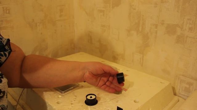 Выведения домашней птицы в инкубаторе. Мой опыт.