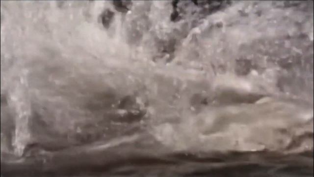 Самые страшные чудовища в водоёмах России