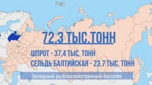 К новым рекордам: российские рыбаки преодолели планку в 5 млн тонн на начало декабря