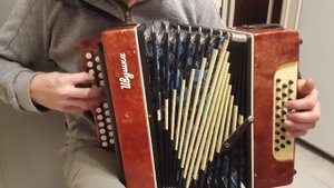 Гармонь Ивушка