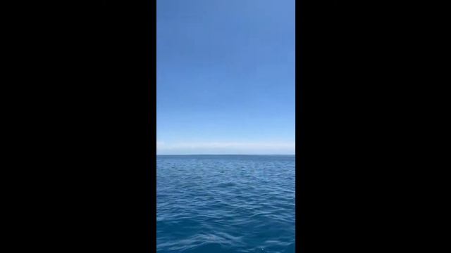 ИССЫК-КУЛЬСКИЙ ВЛОГ ! УЕХАЛИ БЕЗ САБИНЫ? смотреть онлайн