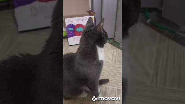 Юну украли ИНОПЛАНЕТЯНЕ 🙀👽вернётся ли она домой😿😿😿 смотреть онлайн