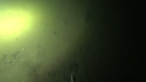 Подводная охота 4 февраля 2021. Р. Дон