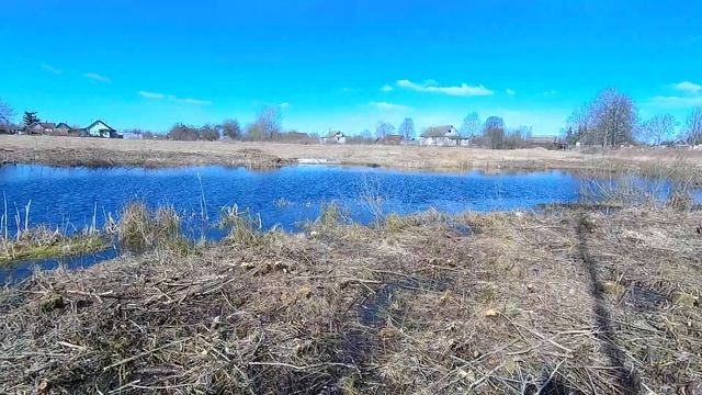 Спасаем старый пруд на даче/Очистка пруда/Будем чистить и углублять этот пруд и свой пруд на участк