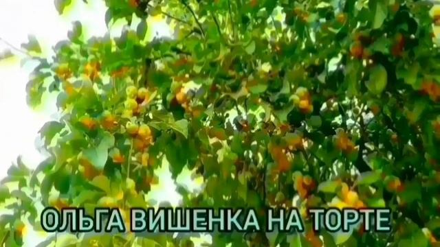 БОИТСЯ ЧТОБЫ КОЛЮНЮ МОЛОДУХА НЕ УВЕЛА. ОЛЮНЯ И КОТЮНЯ.