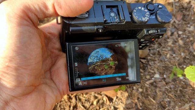 Take Stunning Fisheye Photos with the 7Artisans 4mm f2.8 смотреть онлайн