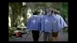 Арамис и Розы