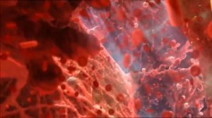 Зарождение новой жизни! Потрясающее видео!