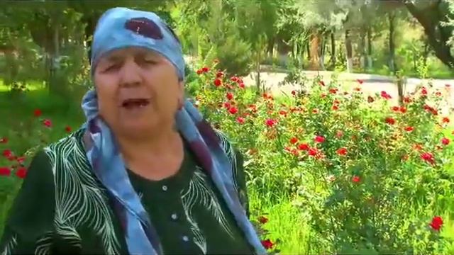 н Ашт табобатгохи Аксикон смотреть онлайн