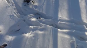 Таежный охотничий промысел, Снегоход, городьба через наледь, на лыжах, таежный быт