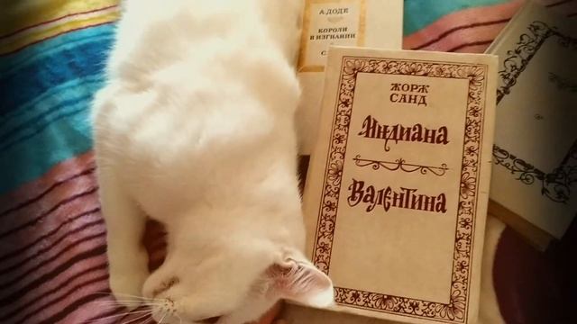 Вторая полка моей библиотеки #старыйтом