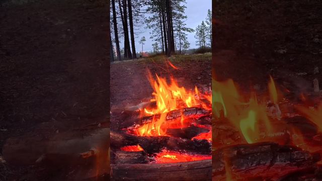 Хорошо у костра #camping #костер