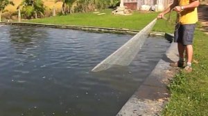 Кастинговая сеть ловля рыб в пруду