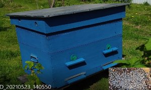 Улей подарилии, я буду теперь  начинающим пчеловодом. Мечта сбылась! Будни начинающего пчеловода.