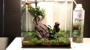 Мини аквариум на 15 литров от Tropica