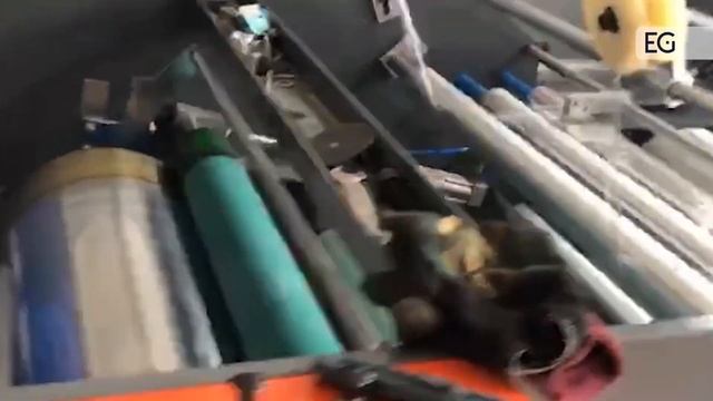 Экструдер для производства стрейч пленки DX-500