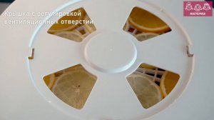 Сушилка для овощей и фруктов Мастерица EFD-0501M