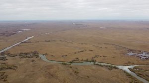 Дельта Волги