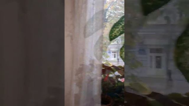 Історичний Центр міста Одеса. Квартира на продаж. смотреть онлайн