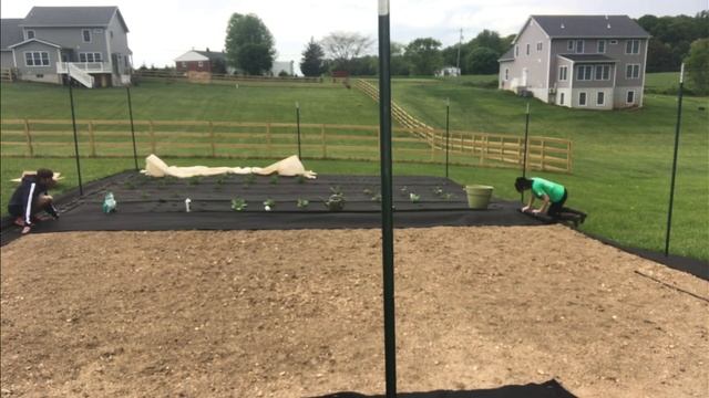 Как сделать огород с нуля. Огород с нуля своими руками. смотреть онлайн