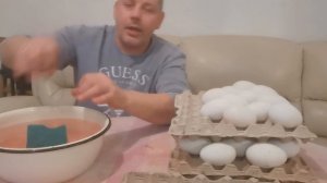 Инкубация гусей в домашних условиях. "Мое Подворье"