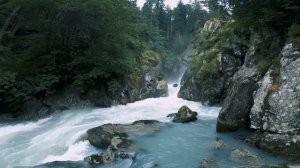 Аль Муминун Красивый и расслабляющий голос Абдаллы