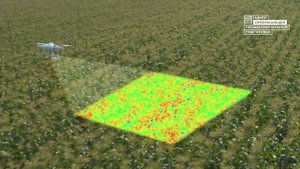 Профессии будущего - пилот дрона