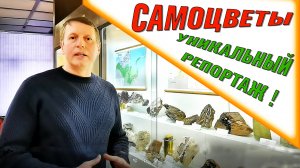 Музей Самоцветы. Уникальный репортаж о натуральных камнях !