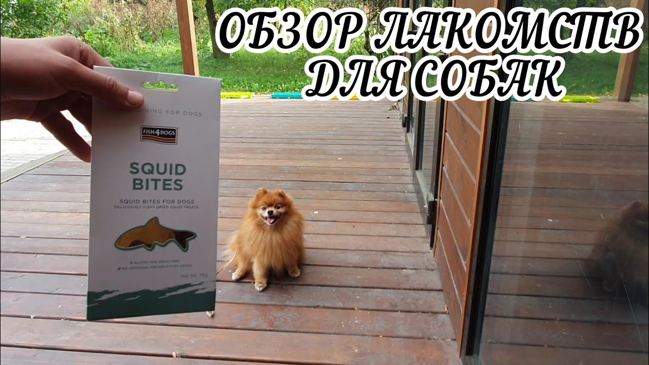 ОБЗОР ЛАКОМСТВ ДЛЯ СОБАК смотреть онлайн
