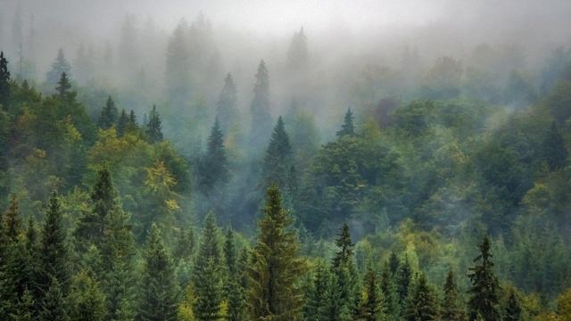 SATANAMA Meditation#kirtankriya#yoga#kundalini#relaxingmind смотреть онлайн