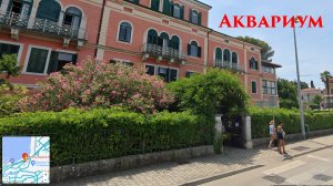 Аквариум. Хорватия. город Ровинь.