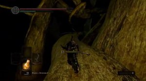 Dark Souls: Кольцо Клоранти (Cloranthy Ring) как найти