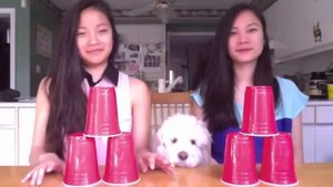 Очень крутой кавер получился! Девчонки со стаканчиками!