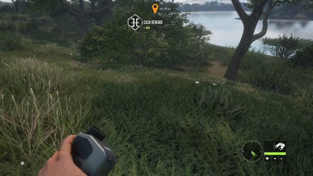 HUNTING LIONS IN SAVANNA, THE HUNTER, CALL OF THE WILD. PC смотреть онлайн