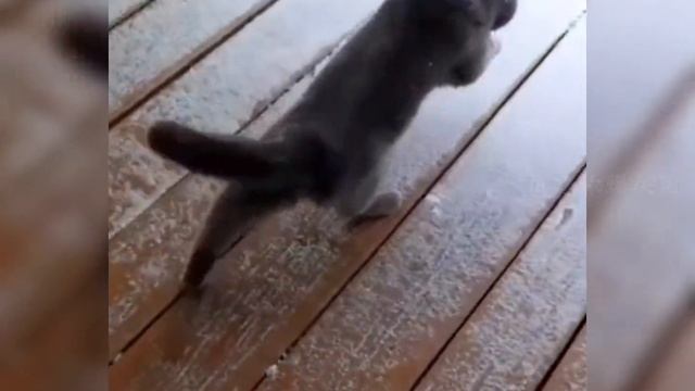 Неудачные приземления. ?
