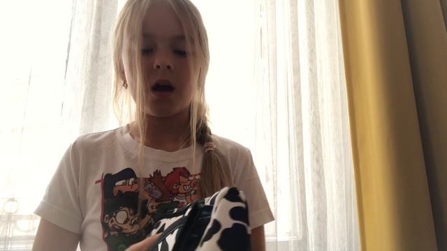 Обзорчик на мой пенал?)))