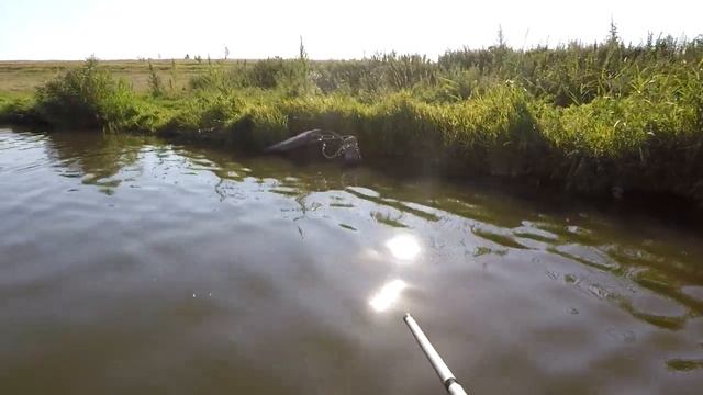ВЕЧЕРНЯЯ ЗОРЬКА НА ТРОФЕЙНОМ ВОДОЁМЕ С БОКОВЫМ КИВКОМ смотреть онлайн
