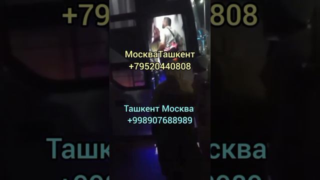 Автобус прямой рейс ташкент москва автобус ташкент россия #ташкентмосква