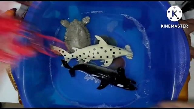 Морские животные/ учим животных на английском// смотреть онлайн