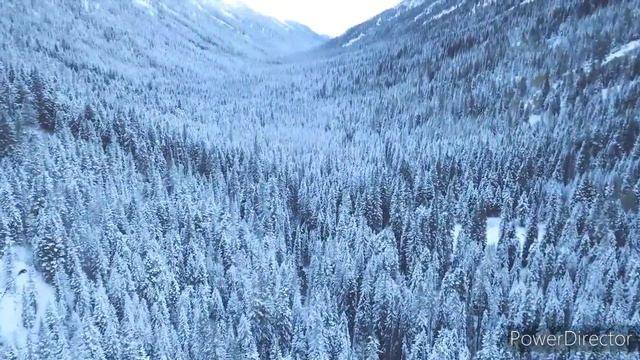 Правило трех "Н" | Послушай и подумай над словами | Верю в тебя! смотреть онлайн